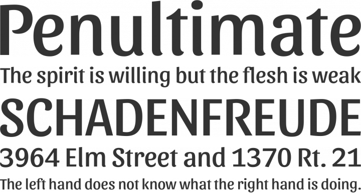 Sansita Font Phrases