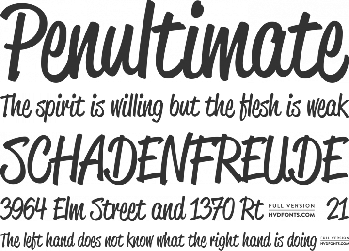 FREE FONT SCRIPT free font script: