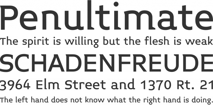 Midiet Serif Font Phrases