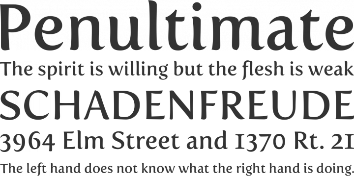 Fertigo Pro Font Phrases