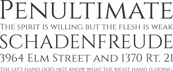 Font Squirrel | Cinzel Font Free by Natanael Gama cinzel font free download
