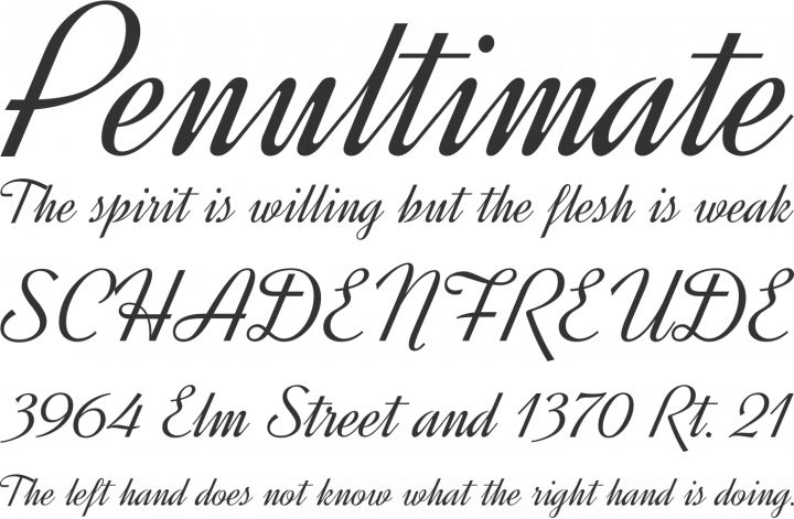 Dynalight Font Phrases