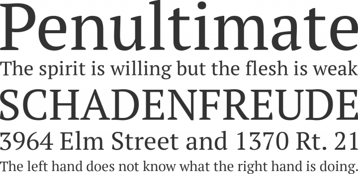 PT Serif Font Phrases