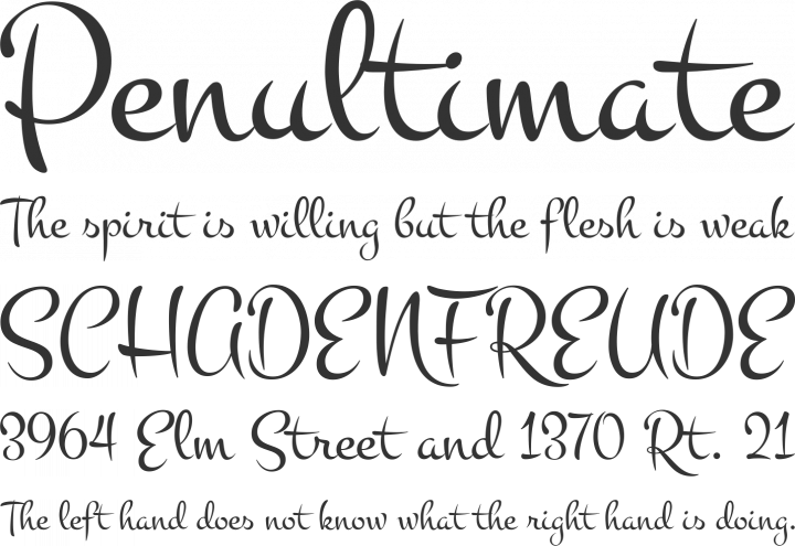 Montez Font Phrases