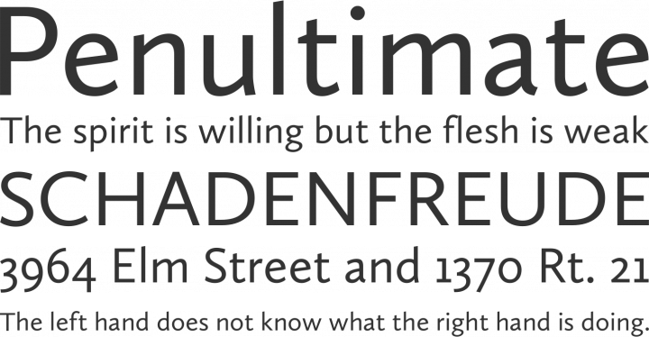 Calluna Sans Font Phrases