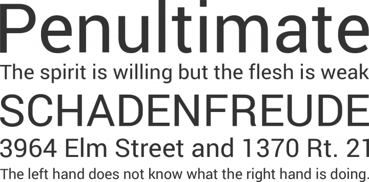 Roboto Font Phrases