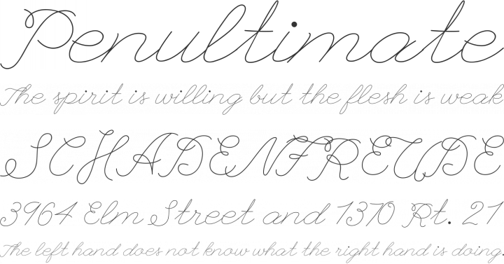 League Script #1 Font Phrases