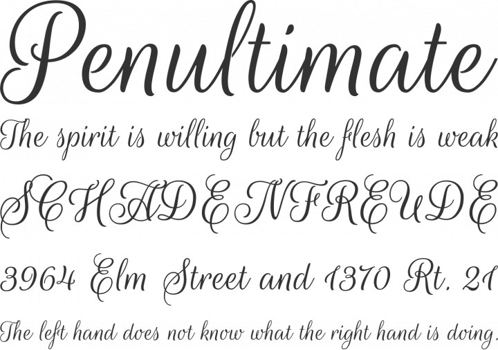 Rouge Script Font Free by TypeSenses » Font Squirrel