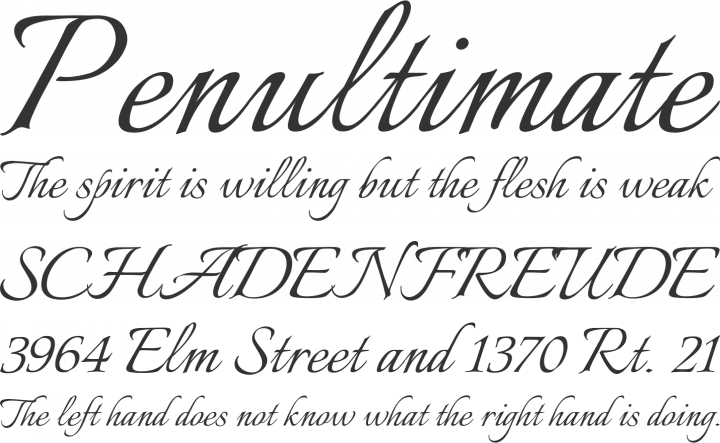 Free Squirrel No 10 Script Fonts