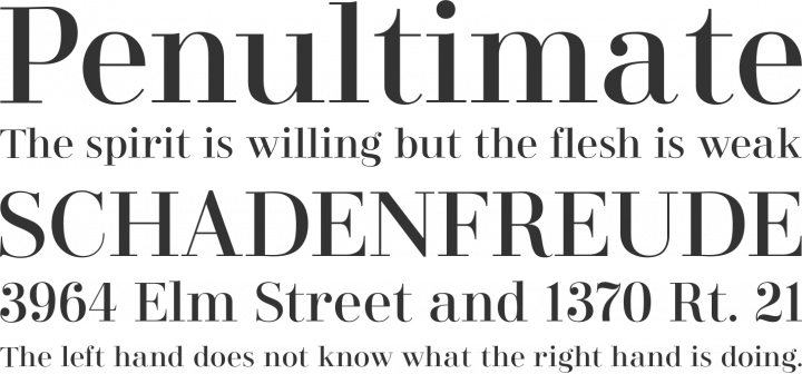 Didonesque Font Phrases