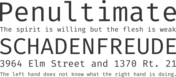 Fira Mono Font Phrases