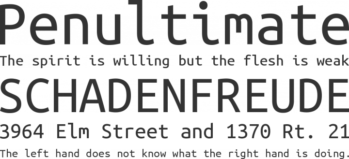 Ubuntu Mono Font Phrases