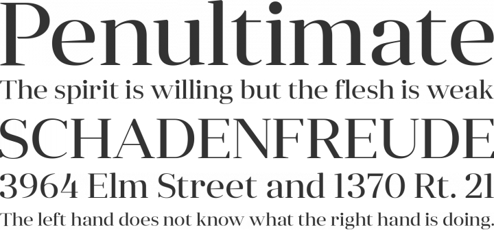 Anglecia Pro Display Font Phrases