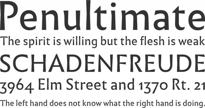 Infini Font Phrases