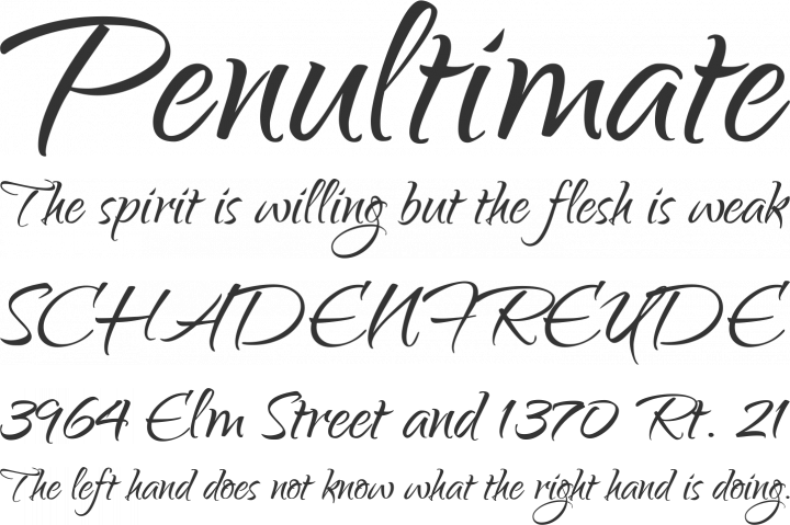 Qwigley Font Phrases