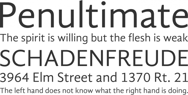 Gandhi Sans Font Phrases