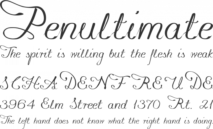 konstytucyja Font Phrases