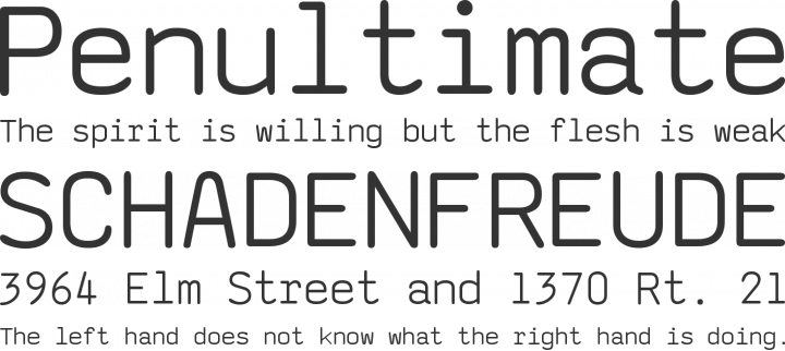saxMono Font Phrases
