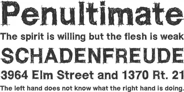 WC RoughTrad Font Phrases
