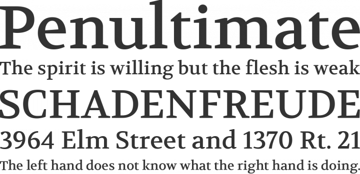 Volkhov Font Phrases