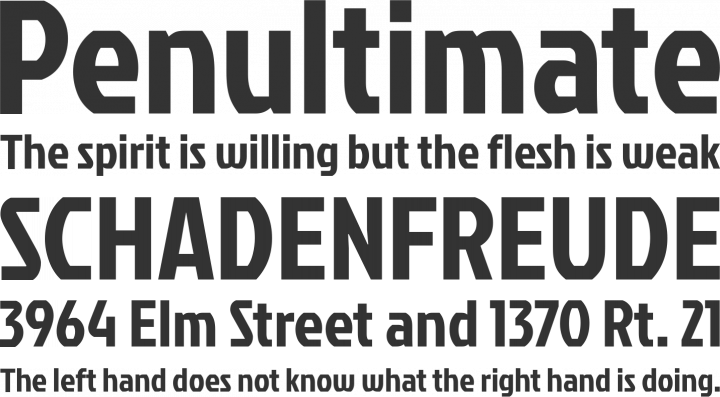 Jockey One Font Phrases